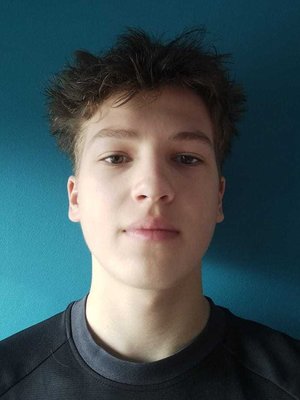 LORIES, Romain