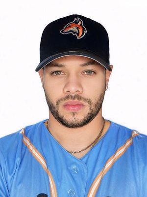 BASTIDAS COLMENAREZ, Andrés Alfonzo