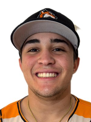 MELENDEZ RODRIGUEZ, Ricardo David