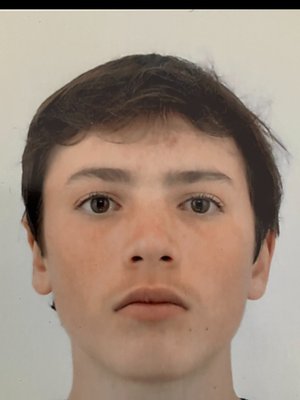 DUSSART, Julian
