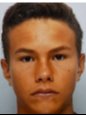 TECHER-VILLEMIN, Louis