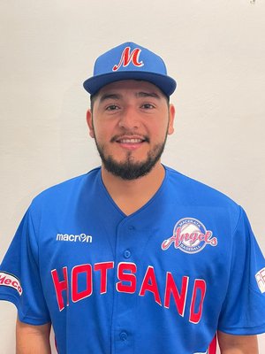 MEJIA FLORES, Dilmer Ramon