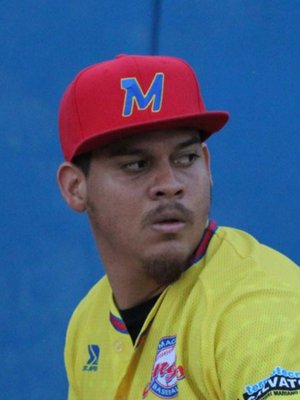MORENO GOMEZ, Williander Jose