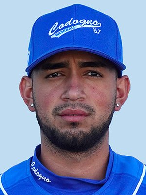 TORRES ZAMBRANO, Gabriel Jose