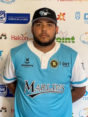 Joel Gabriel BORGES BETHERMY