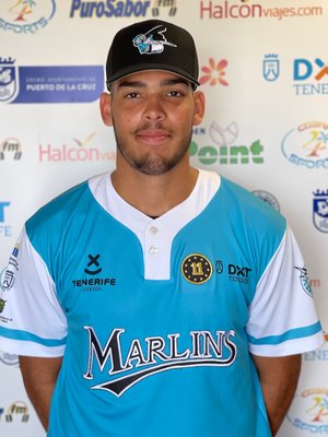 MENDOZA SCHIAPPACASSE, Ricardo Arturo