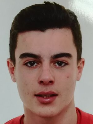 David ARZA GUTIÉRREZ