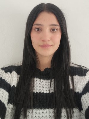 CEYLAN, Z. Irmak