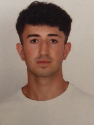 SINIK, Muhammed